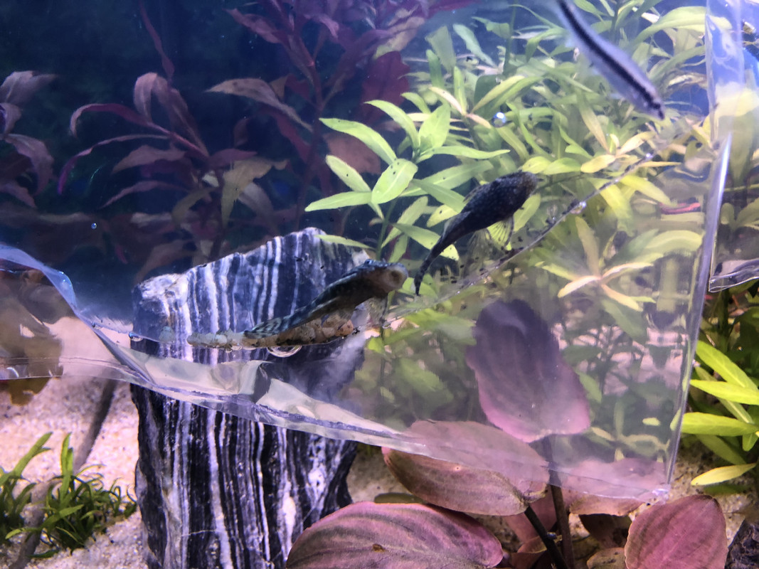 1FBF4717-EB2C-418E-A6FA-979F457817C6