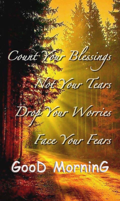 Have a Beautiful Day Good Day pictures, Good Day images, Good Day graphics, Good Day scraps, comments, Pics, Fotos, Photos, Facebook, Whatsapp, Instagram, Myspace, Hi5, Friendster and more day graphics