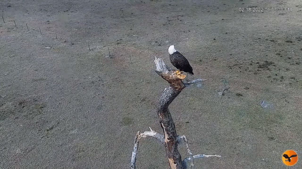 Webp.net-gifmaker (4)