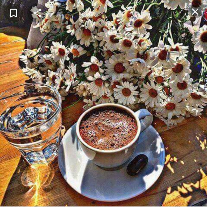 IMG_٢٠٢١٠٦١٦_٠٠٥٣١٣