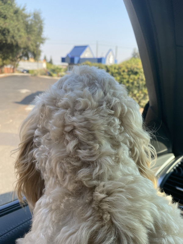 68B76920-B80F-4AD0-AEA8-32309AE8D55E