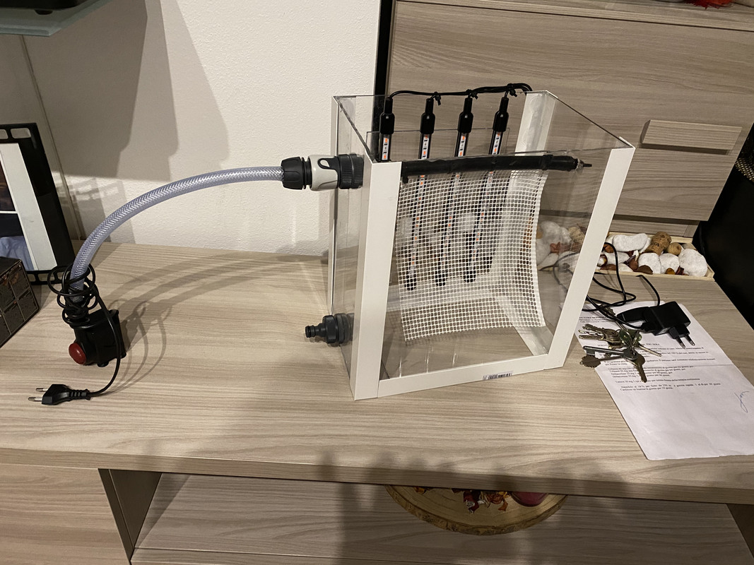 C9BB93B5-FF91-4FF4-9A3E-0AD244367D46