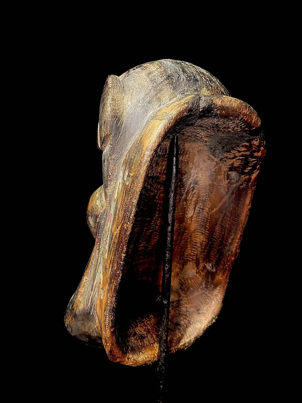 large image 10