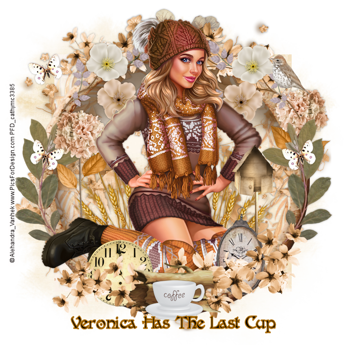 6381136223889396762639826