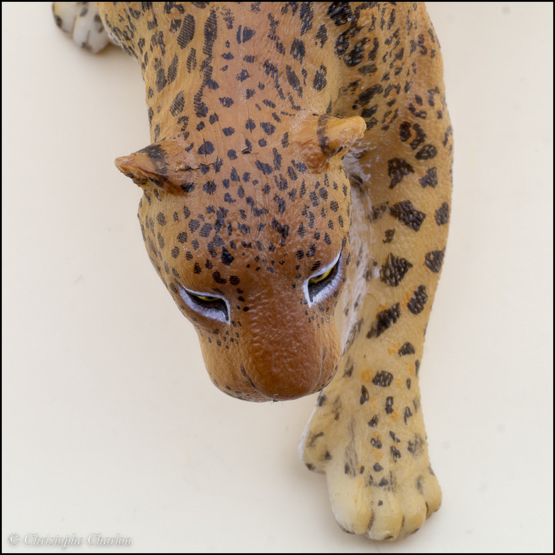 shades variation Papo-Leopard-4