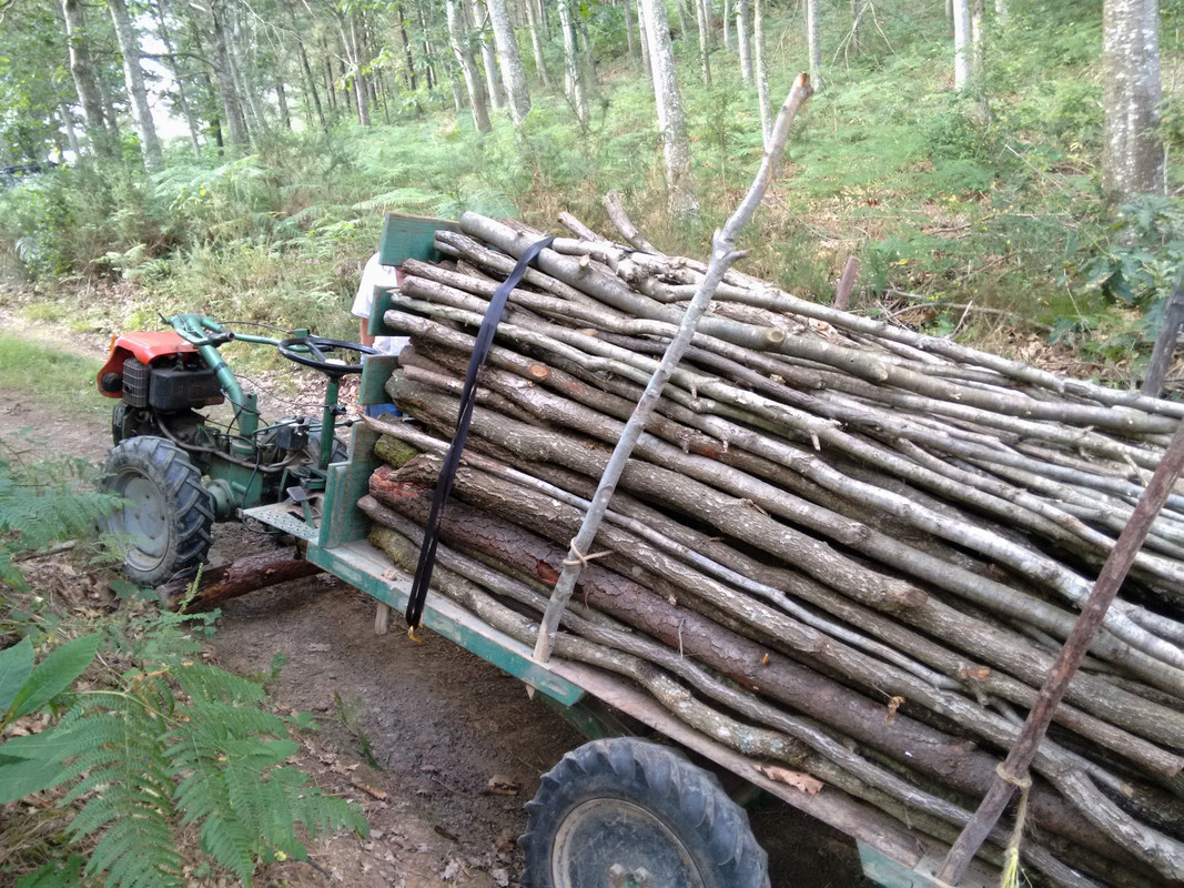 Kalekume con un tractorcillo "Ondo" IMG-20160726-191741777