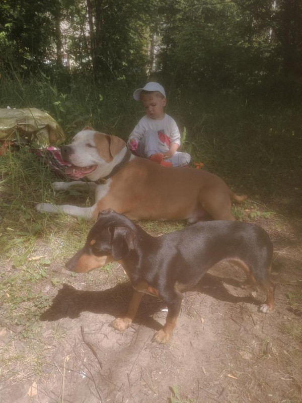 F5201160-2ED7-48C8-84EC-A1ADE0C6F82F