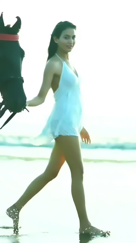 IMG_20241105_233238_788