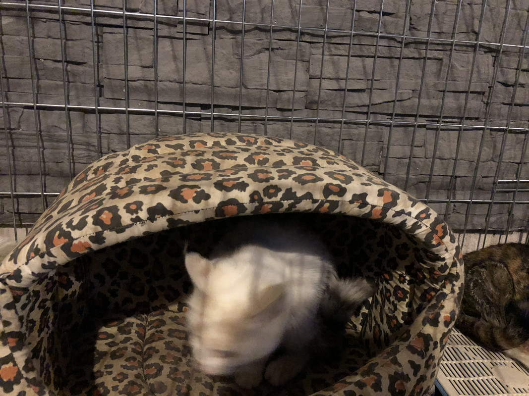 D2C1888D-EC00-4695-A3F5-5DC2736F732F