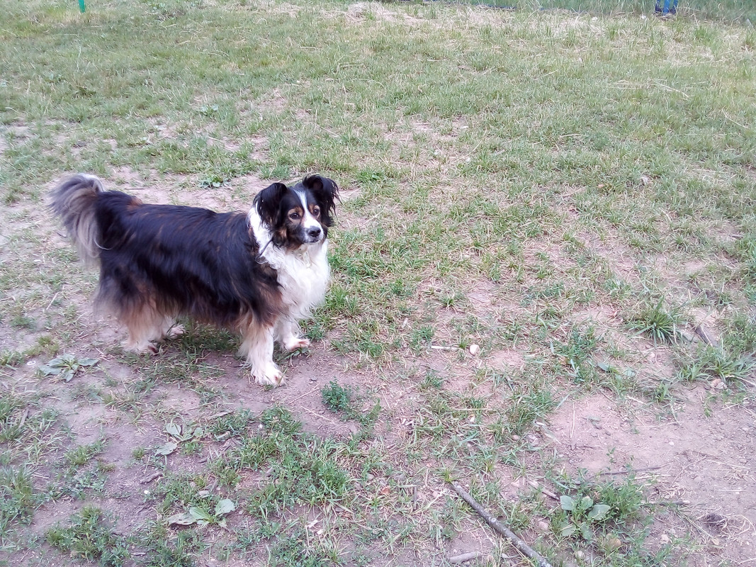 Атос 4 июля 21