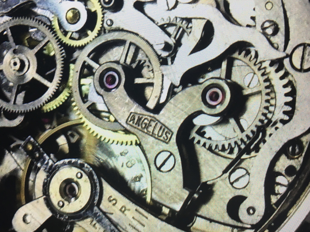 F405EB08-5E8D-4FDB-9786-BD7C88B1F29F