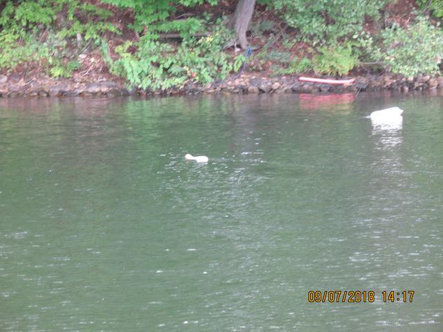 IMG-1666.jpg