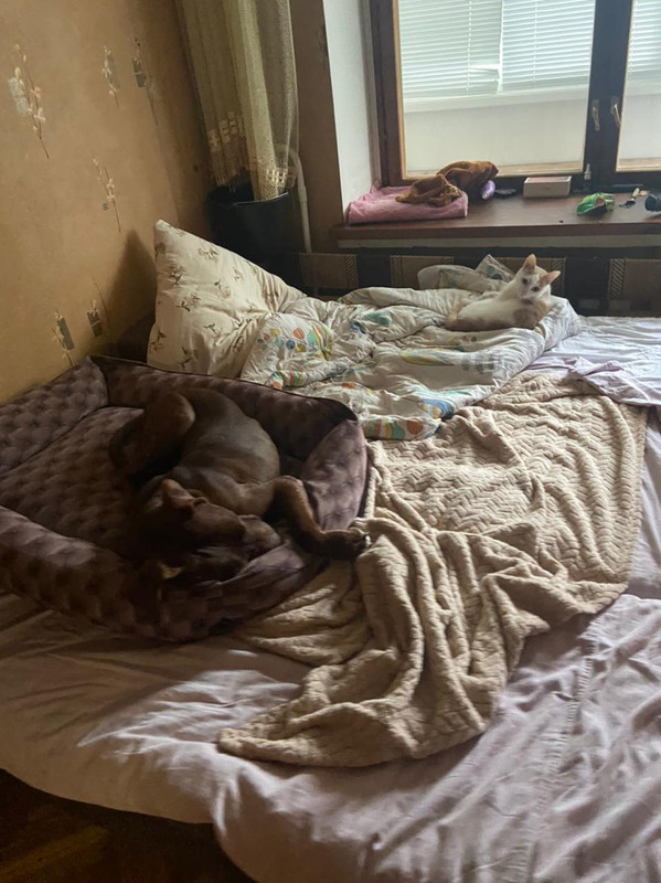 2D295305-3993-441B-805B-AF12D1CC7058