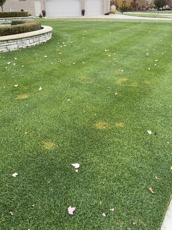 B975F26C-A82D-4693-ABB2-B1BC0A355C84