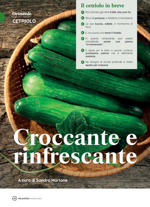 melaverde Mar 2024 (7)