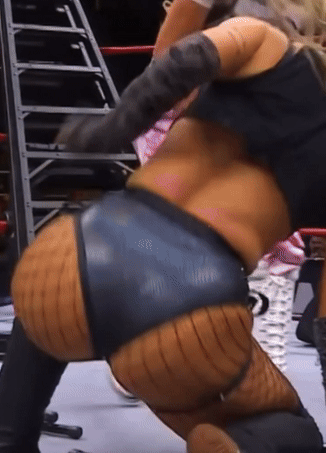 nov16g.gif