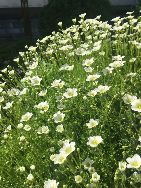 7E923F9A-3D90-4C25-B89C-3CA63F502FCF