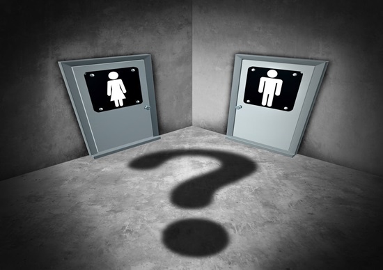 APA ITU GENDER DYSPHORIA? APA ITU GENDER DYSPHORIA?