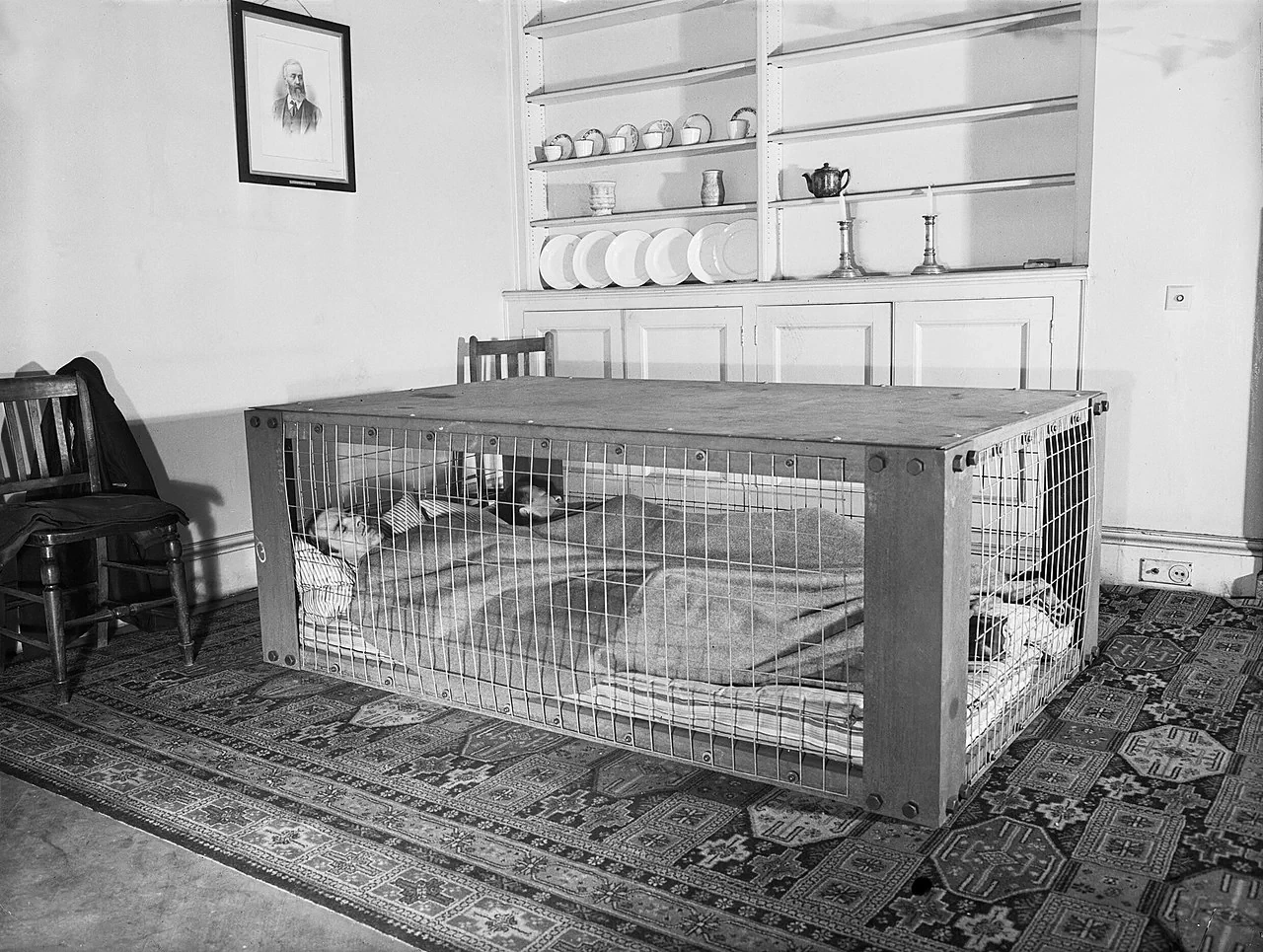 morrison-shelter