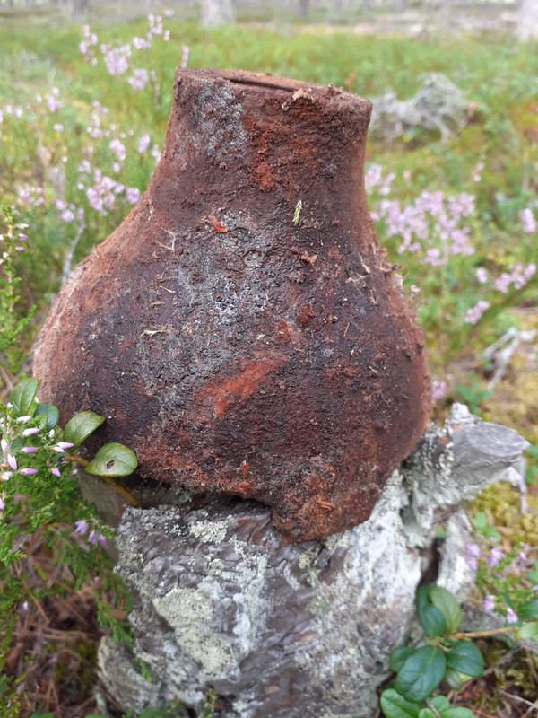 20200812_101207 – kopio