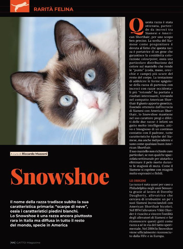 Ga Ma Ago-Set 2022 (5)