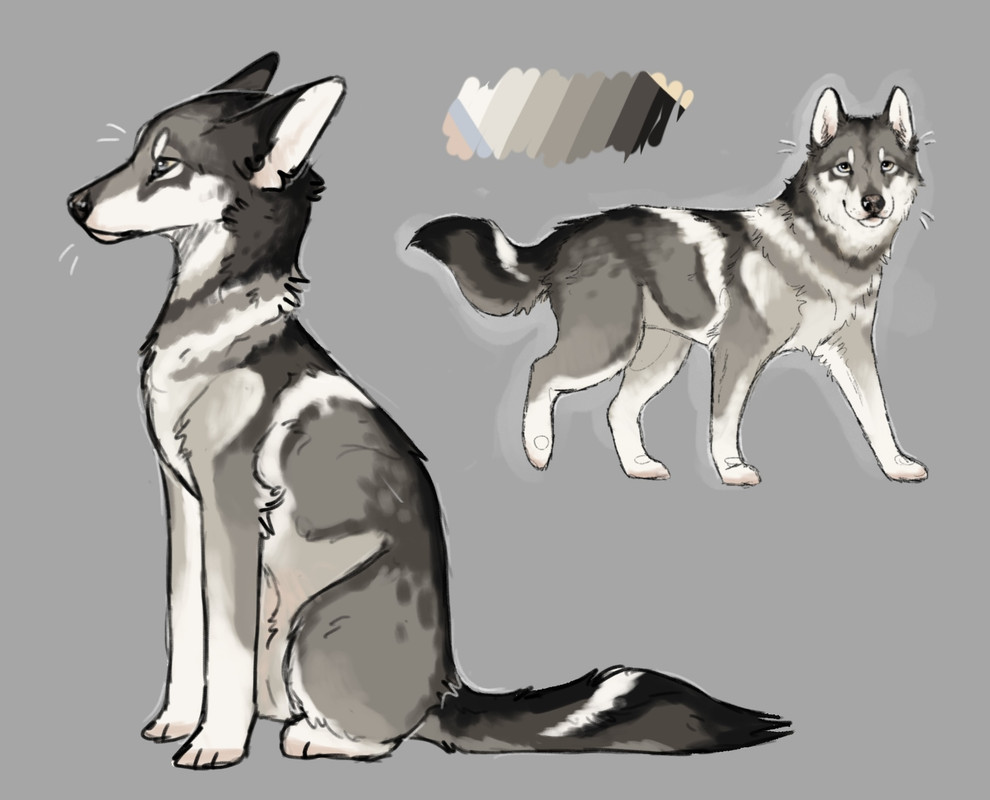 442AD204-D996-4B7D-BF08-61B2929D1973