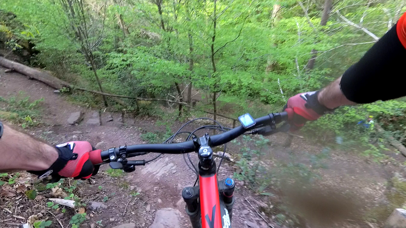 vlcsnap-2021-05-09-15h02m36s487