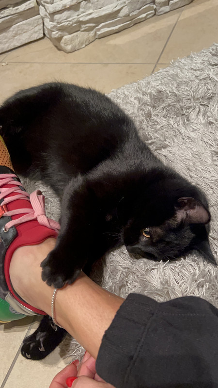 F5224997-3139-415F-9BCC-AA6218E54730