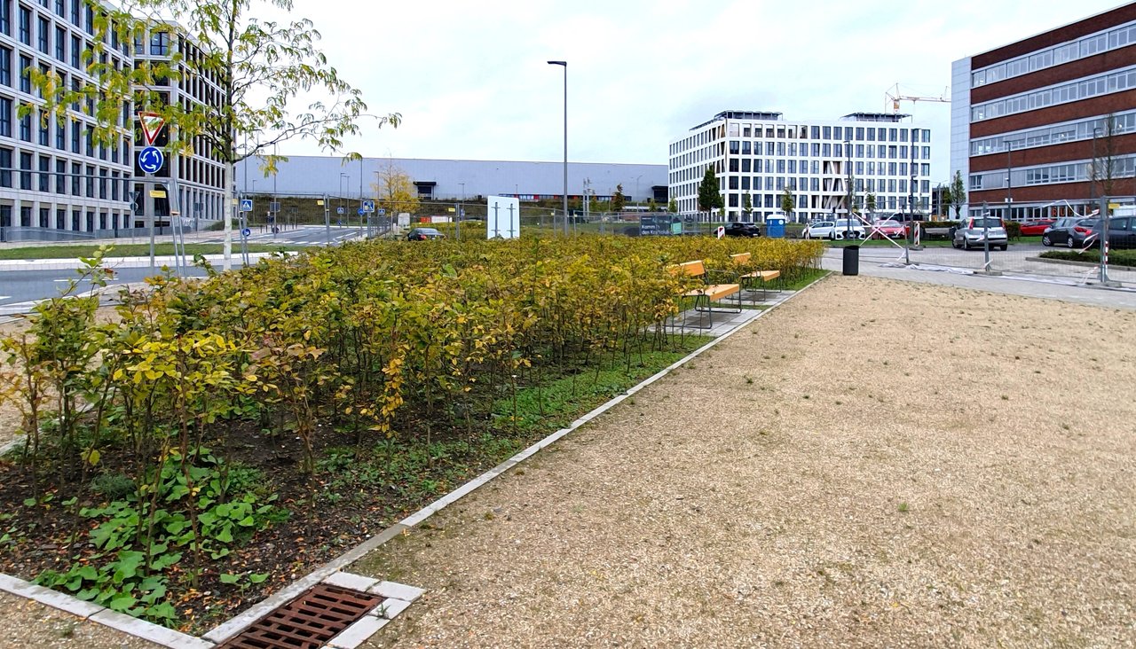 20241001-151745-Shift-N.jpg