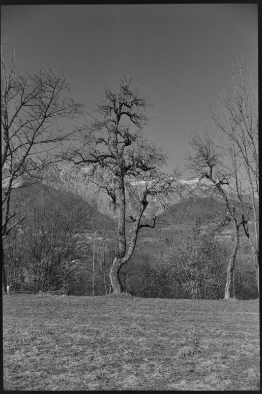 Rollei 35 S_14 16 feb2022_04 (853x1280)