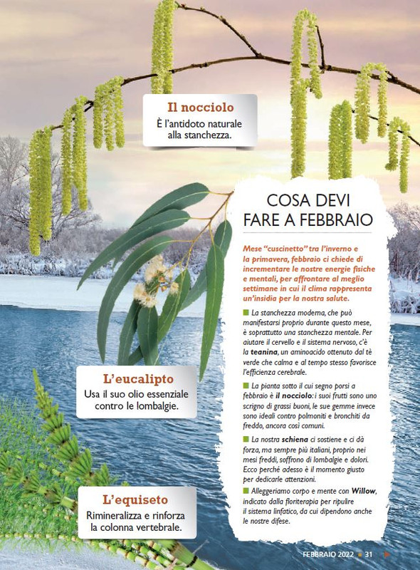 Sal Nat Feb 2022 (4)