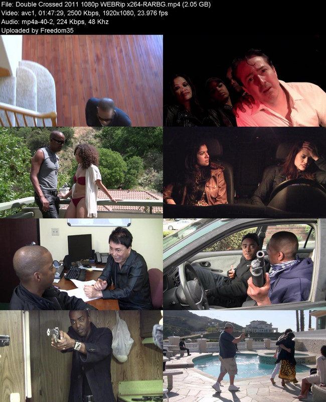 Double-Crossed-2011-1080p-WEBRip-x264-RA