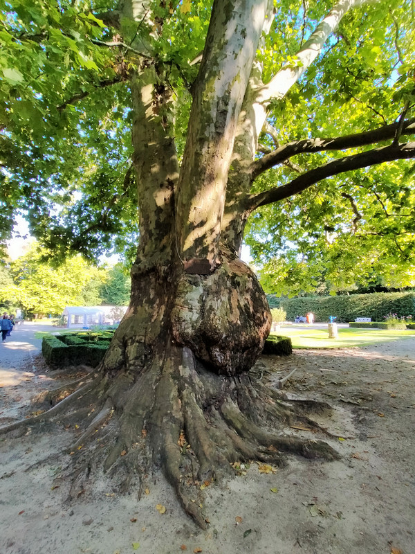 010 - IMG20210904162005