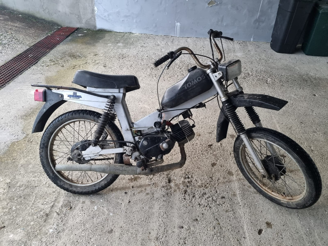 WhatsApp Image 2022-11-18 at 16.08.31 (3)