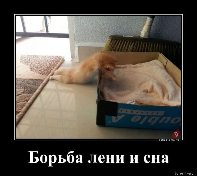 https://i.postimg.cc/cHxZx6RR/1551772515-Borba-leni-i-sna-demotions-ru.jpg