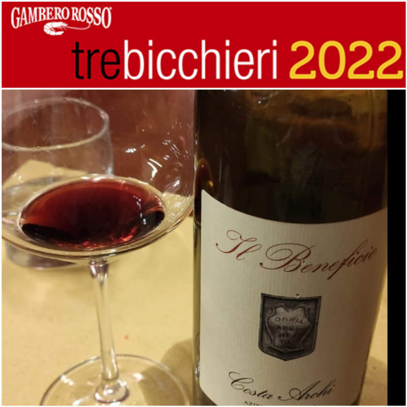 La cantina di Castel Bolognese «Costa Archi» il 3 dicembre presenta i suoi vini all’Ais Romagna a Cesena La cantina di Castel Bolognese «Costa Archi» il 3 dicembre presenta i suoi vini all’Ais Romagna a Cesena