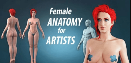 Artstation - Female anatomy for artists course Artstation - Female anatomy for artists course