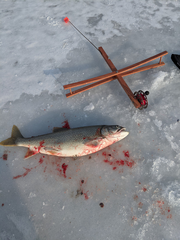 PXL_20220305_141003477