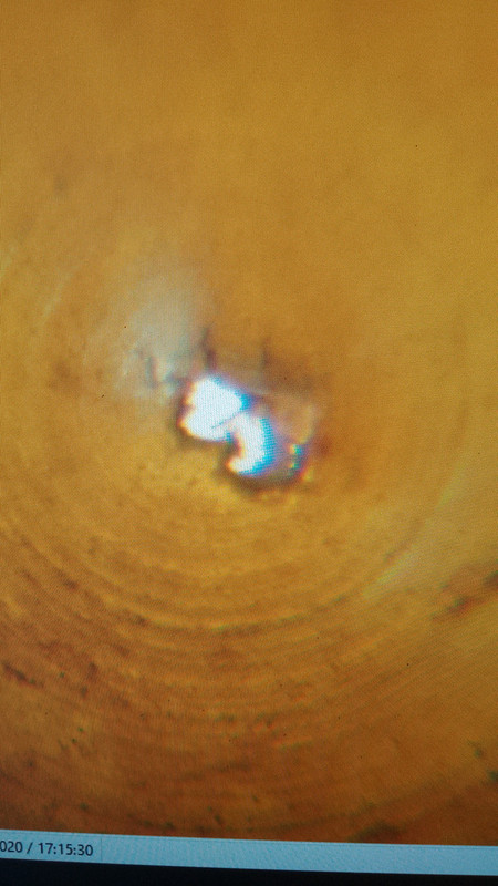 IMG_20230112_125807_344