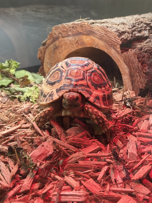 B14BAE18-62D7-4311-95B2-4CE6DF8FCBB8