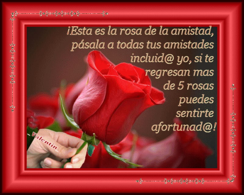 La-rosa-amistad-Valentin