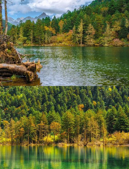 fec53519a2a1d014c56615a8a3b2ca79