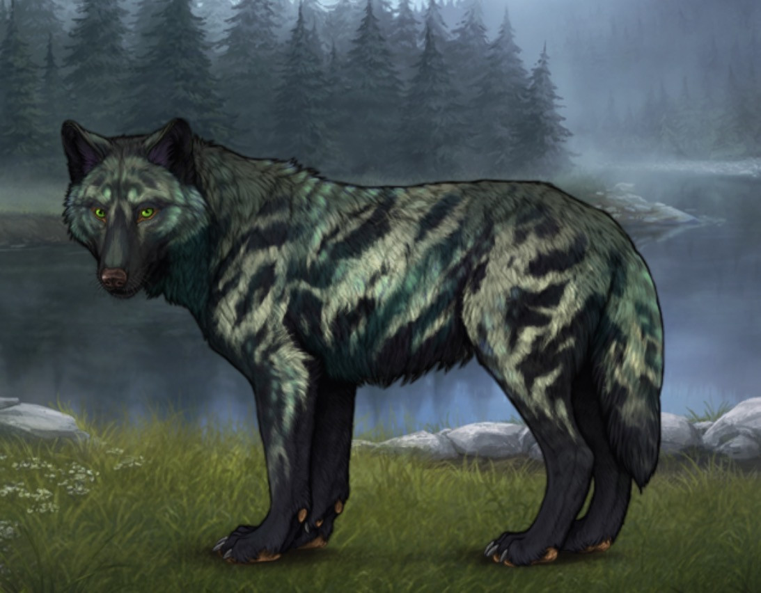 Chased Wolf Spotting - Revamped |:| Wolvden