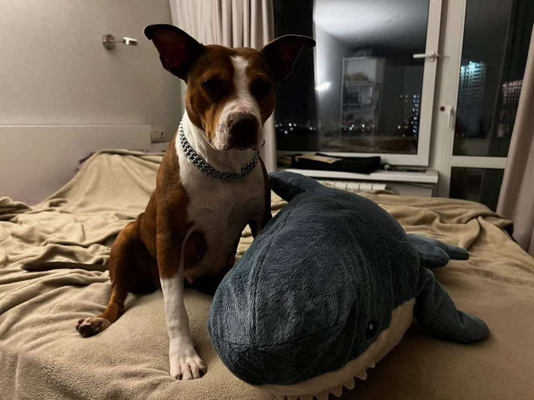 WhatsApp Image 2022-09-19 at 10.29.12 (2)