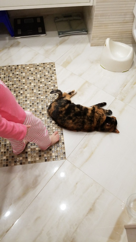 IMG-d99e185f2ed196f9eabb9ca6bba4ceca-V