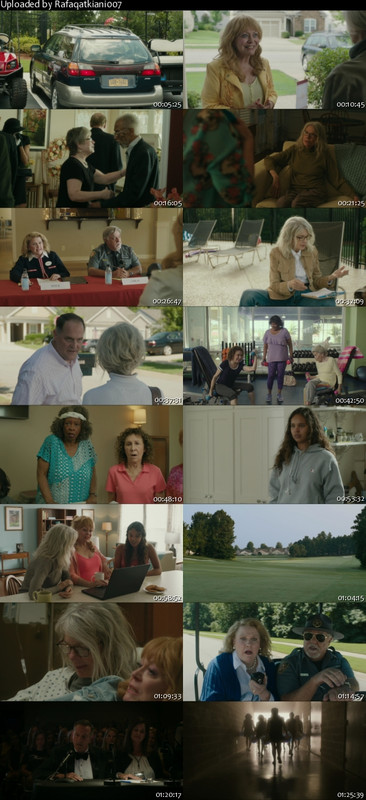 Poms 2019 1080p BluRay x264-AAA