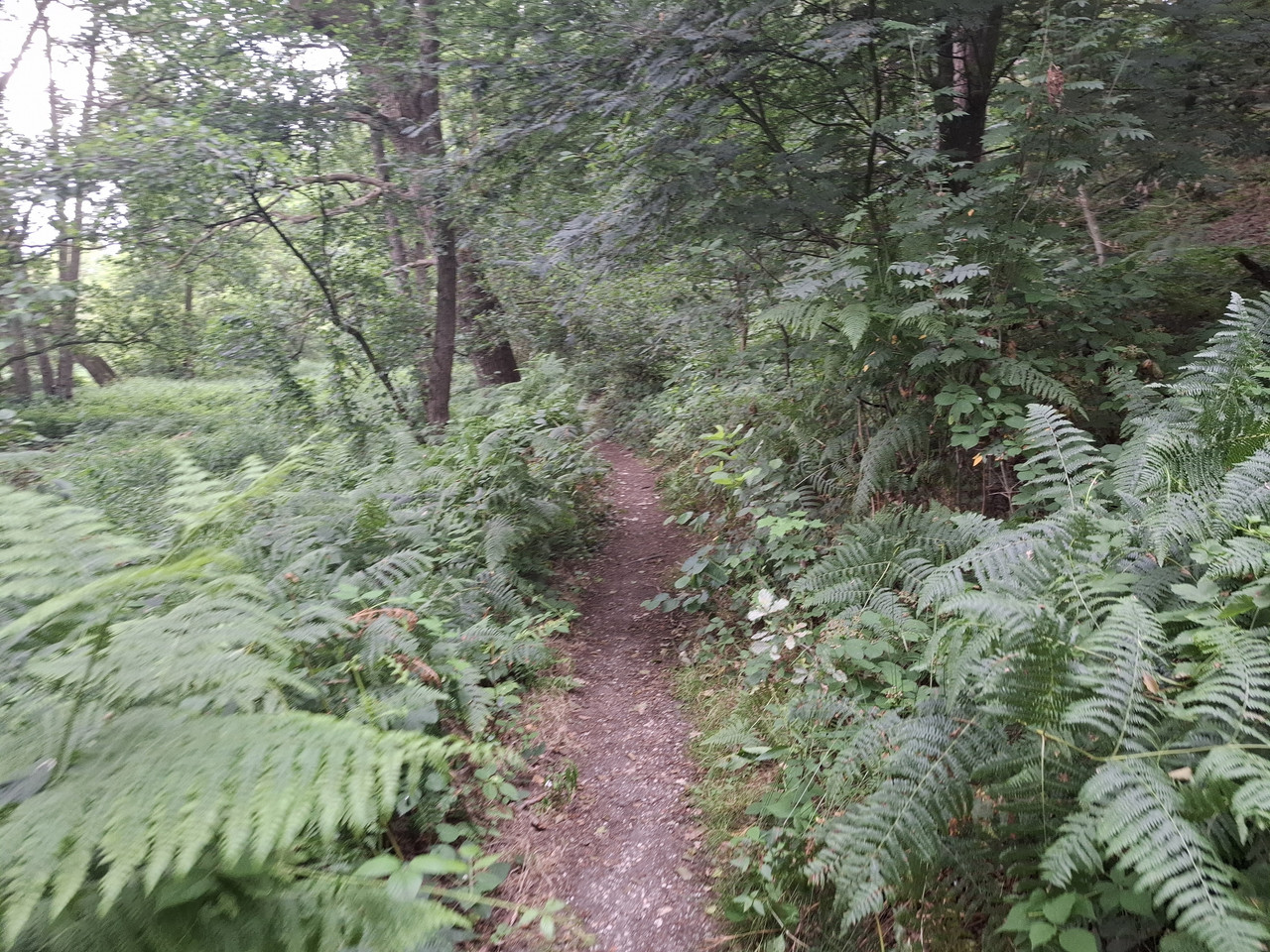 20260708-161358.jpg