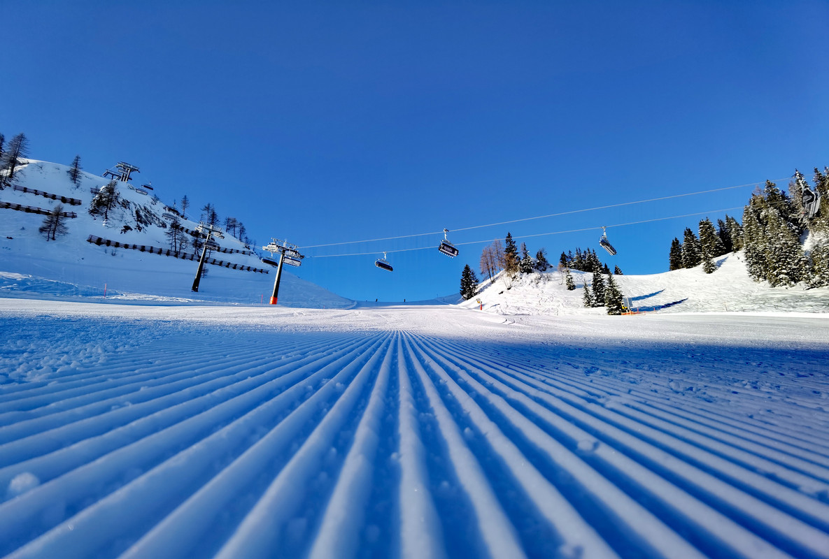 IMG_20220113_094141_edit_623668643400147