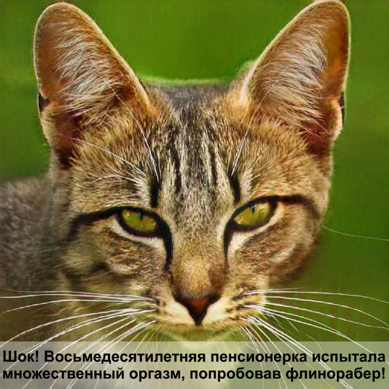 окрас египетской кошки