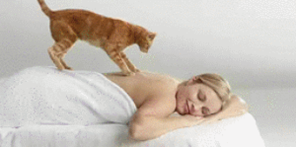 IMG-6223.gif